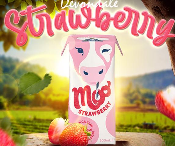 Devondale Strawberry Milk for Babies